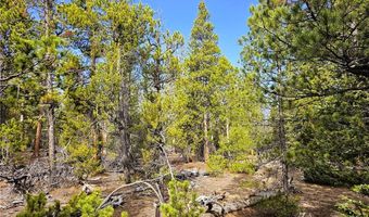 PCS # 7765 & 12057 Rollies Trail lot 0, Alma, CO 80420