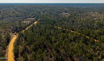 Rossville Avenue, Alford, FL 32420