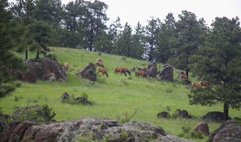 TBD Old Flowers Road, Bellvue, CO 80512