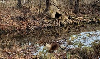 4775 S 50th Rd, Aldrich, MO 65601