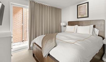 1001 E Cooper Ave 2, Aspen, CO 81611