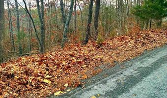 SPITZ Lane, Basye, VA 22810