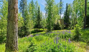 500 Wild Swan Trl, Bigfork, MT 59911
