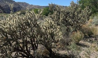 Carp Road, Caliente, NV 89008