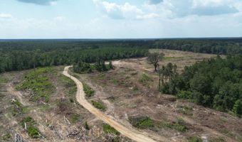 SE Cole Drive, Bogue Chitto, MS 39629