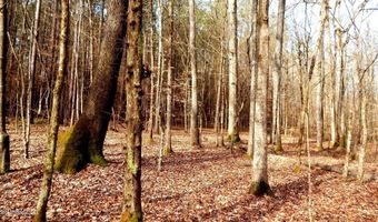 519 247 Country Rd, Bruce, MS 38915