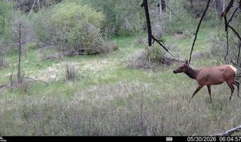 Powerline Road, Boulder, MT 59632