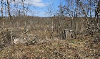 295 Shellstone Rd, Amsterdam, NY 12010