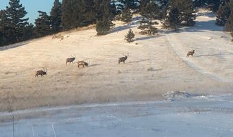 51 Wood Creek Rd, Boulder, MT 59632