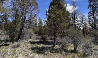 Glendale Drive 15, Beatty, OR 97621