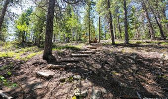 256 Fisk Fenner Rd, Allenspark, CO 80510