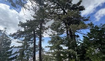 636 Mountain Center 35-0002, Mountain Center, CA 92561