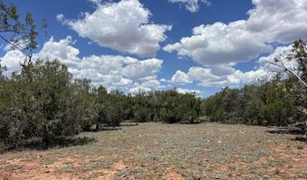 61 Norma Sw4 Rd, Ash Fork, AZ 86320