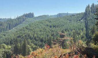Van Horn 140 Rd, Alsea, OR 97324