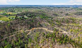 61 AC Hidden Cove Ln, Allons, TN 38541
