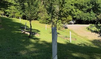 355 Lone Mountain Rd, Andersonville, TN 37705