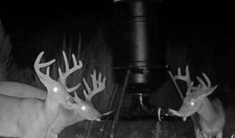 00 Ebenezer Church Rd, Bassfield, MS 39421