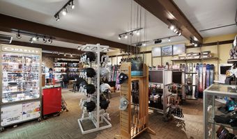 408 E Cooper Ave, Aspen, CO 81611