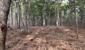 Lot 5 Bluff Road, Bar Harbor, ME 04609