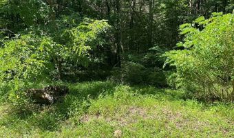 3 Clear Fork Creek Rd 31, Bastian, VA 24314