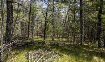 S Badger Lane lot 38, Arkdale, WI 54613