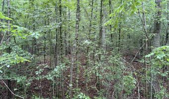 745 FOSTER Rd, Adamsville, TN 38310