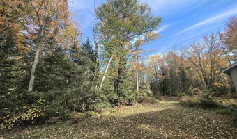 TBD 5.5ac Fishing Site 1, Amasa, MI 49903