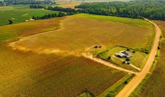 1037 Cr 300, Big Creek, MS 38914