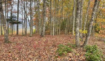 Rocky Ridge Rd lot 8, Almond, NC 28702