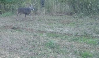 425 Rose Hill Rd, Bentonia, MS 39040
