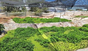 41790 Jay Dee Ln, Anza, CA 92539