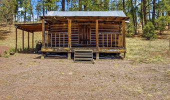 28 County Road 2310, Alpine, AZ 85920