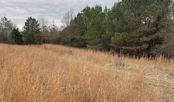 34655 Co Rd 49, Beaverton, AL 35544