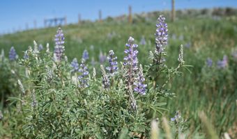 627 RYEGRASS Rd, Daniel, WY 83115