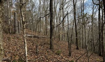 0 County Road 93, Bankston, AL 35554