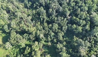 Swamp Road, Beech Island, SC 29842