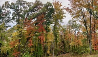 8680 Bennett St SE, Ada, MI 49301