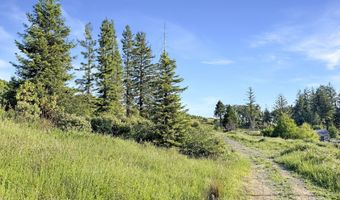 466 GARDNER RIDGE Rd, Brookings, OR 97415