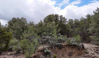 Unk Sandia Canyon Rd, Arroyo Hondo, NM 87513