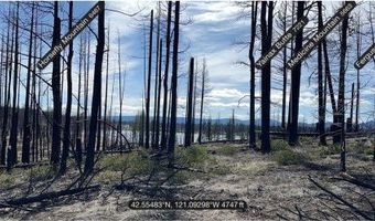 Hicks Rd, Bly, OR 97622