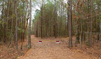 00002 Trickhambridge Rd, Brandon, MS 39042