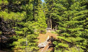 8735 Bering Rd, Alturas, CA 96101