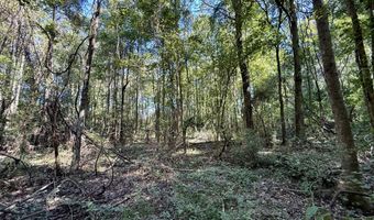 Tbd Williams, Brookhaven, MS 39601