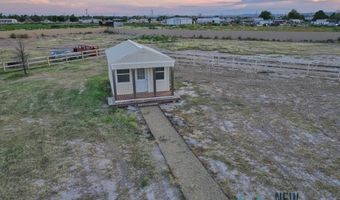 1007 Carnation Aly, Carlsbad, NM 88220