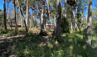 18930 JEBERT Dr, Aripeka, FL 34679