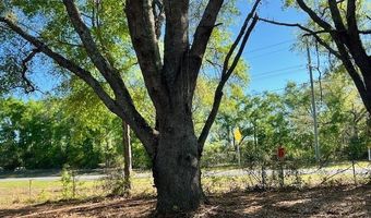 3109 US Hwy 129, Bell, FL 32619