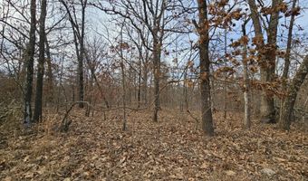 65 Acres Plainview Rd, Anderson, MO 64831