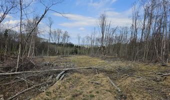 295 Shellstone Rd, Amsterdam, NY 12010