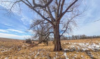 0 Highway C, Albany, MO 64402
