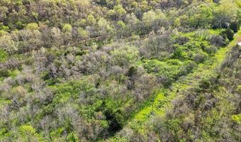 TBD Stogdon Hollow RD, Anderson, MO 64831